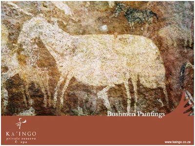 Bushmen Rock Art
